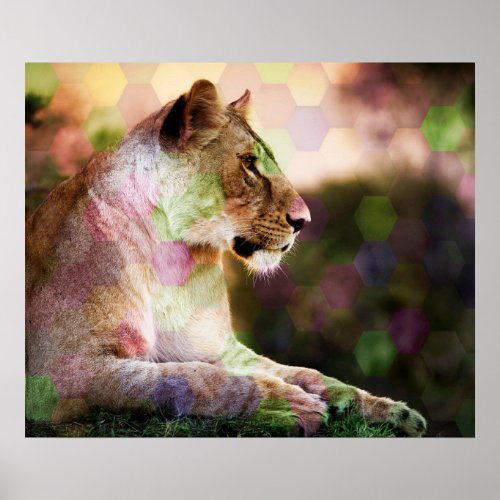  AP23 Artistic RAINBOW Abstract LIONESS Art Poster