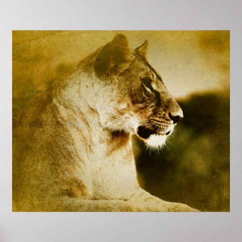  AP23 Artistic Watercolor Golden LIONESS Artsy Poster