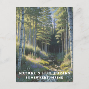 *~* AP49 Nature Maine Forest Woods Vacation Stream Postcard