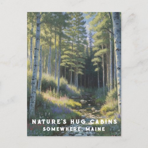  AP49 Nature Maine Forest Woods Vacation Stream Postcard