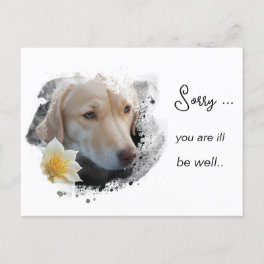 *~ AP61 Flower Sick Get Well Gold Dog Postcard