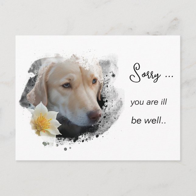 *~ AP61  Flower Sick Get Well Gold Dog Postcard (Front)