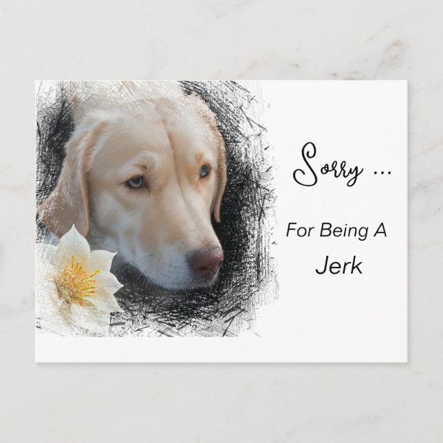 *~* AP61 Sad Lab Retriever Flower Message Postcard (Front)