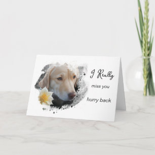 *~ AP61 Sad Lab Retriever Flower Miss You Hurry Card