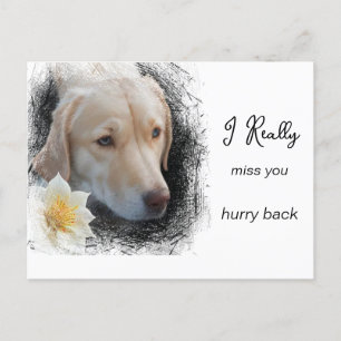 *~ AP61 Sad Short Hair Dog Flower Miss You Postcard
