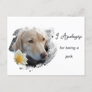 *~* AP61  Sad Tan Dog Apologize Caring Flower  Postcard
