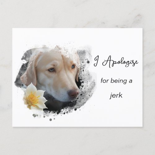  AP61  Sad Tan Dog Apologize Caring Flower  Postcard
