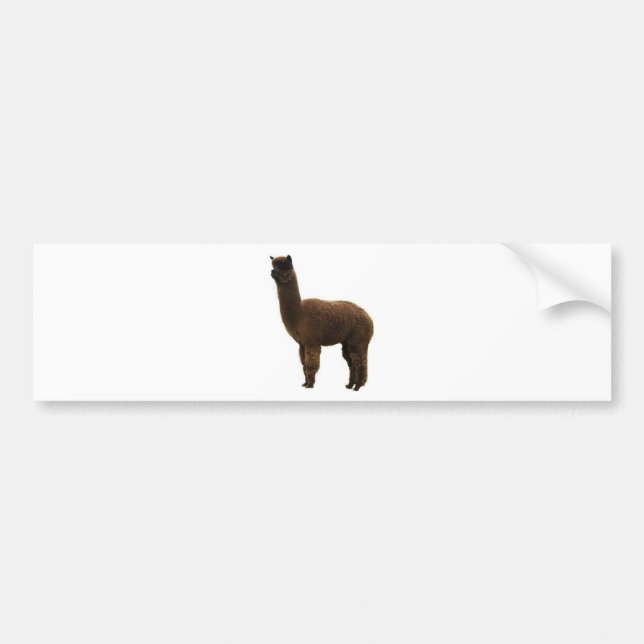 Apaca stud bumper sticker (Front)