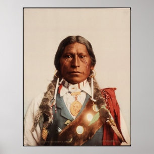 Apache Chief James A. Garfield. Poster