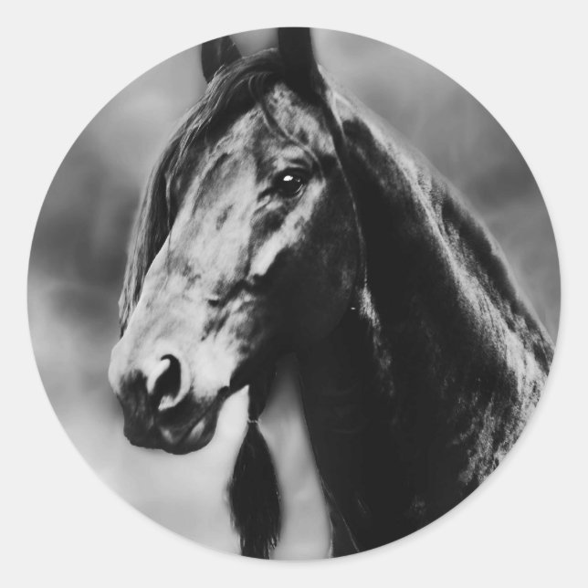 Apache horses classic round sticker (Front)