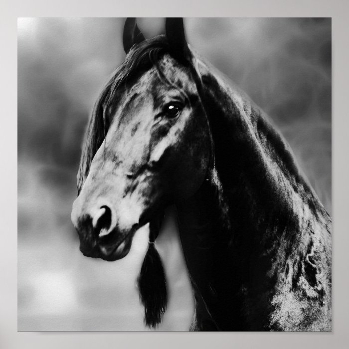 Apache horses print