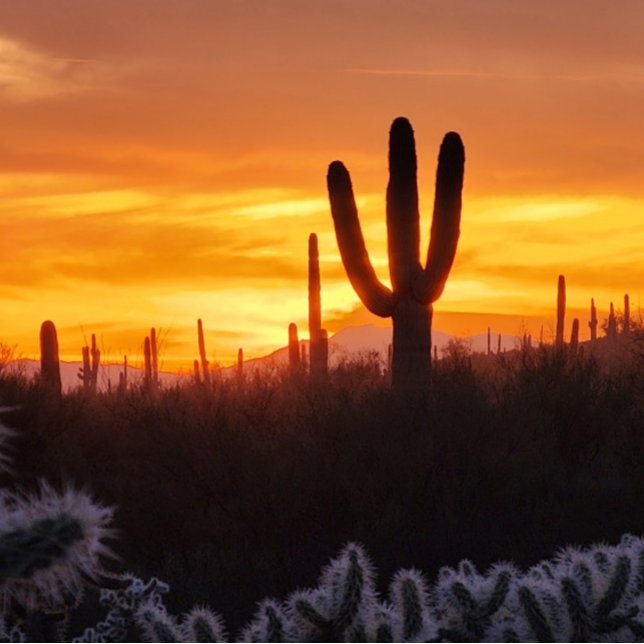 Apache Sunset Arizona Acrylic Print (Creator Uploaded)
