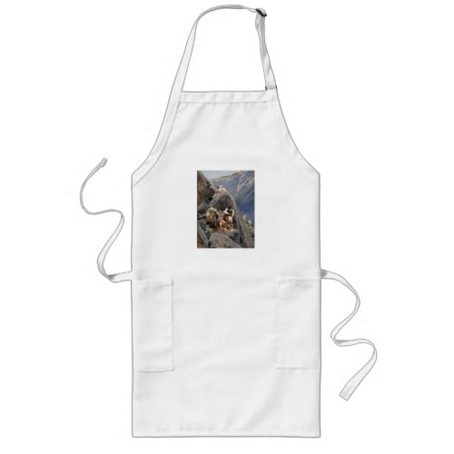 Apache Tribe Fighting American Indian Wars Long Apron