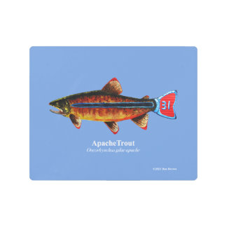 Apache Trout;  Metal Print