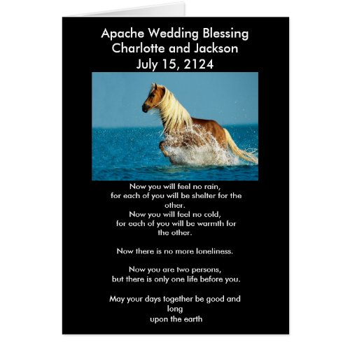 Apache Wedding Blessing Arabian thoroughbred horse