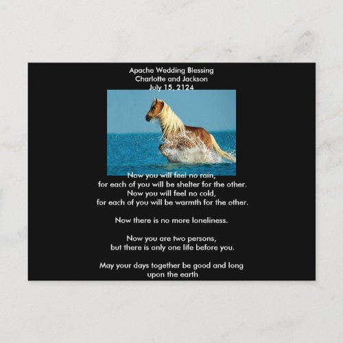 Apache Wedding Blessing Arabian thoroughbred horse Postcard