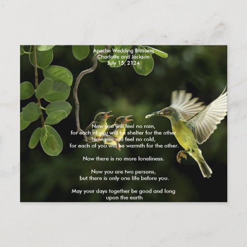Apache Wedding Blessing Mother Hummingbird Postcard