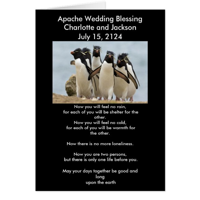 Apache Wedding Blessing Penguins Cards (Front)