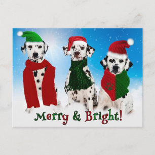 APAL - Christmas Dalmatian Dogs Holiday Postcard