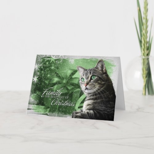 APAL _ Christmas Silver Tabby Cat Holiday Card