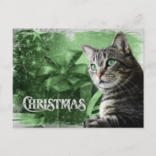 APAL - Christmas Silver Tabby Cat Holiday Postcard (Front)