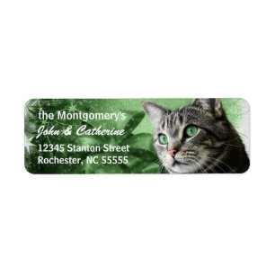 APAL - Silver Tabby Cat with Seasonal Green Label