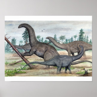 Apatosaurus and Brontosaurus Print