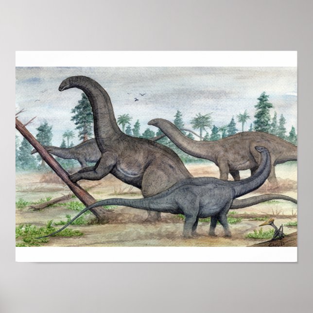 Apatosaurus and Brontosaurus Print (Front)