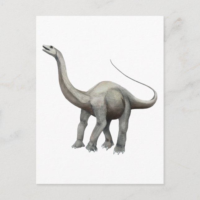 Apatosaurus Postcard (Front)