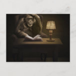 Ape Chimpanzee Monkey Postcard