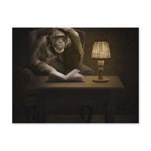 Ape Chimpanzee Monkey Postcard