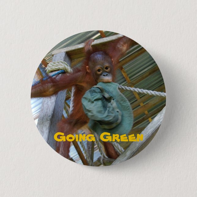 Ape for Green Pinback Button (Front)