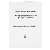 Ape for Watermelon (Back)