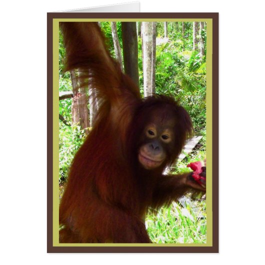 Ape for Watermelon Cards (Front)