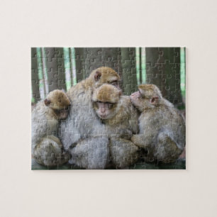 Ape Group Hug Jigsaw Puzzle