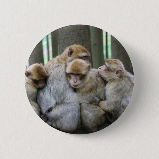 Ape Group Hug Pinback Button (Front)