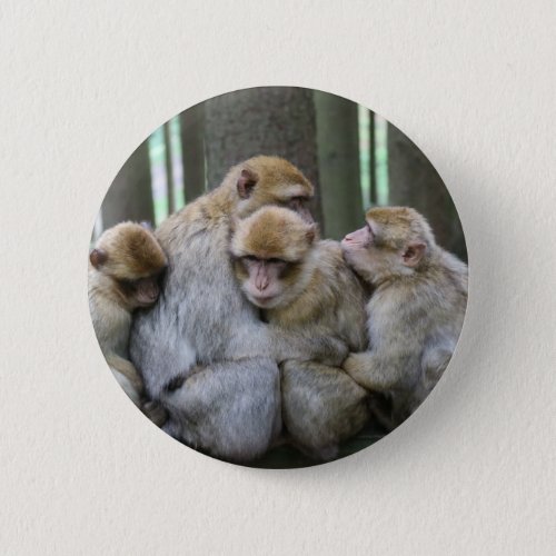 Ape Group Hug Pinback Button