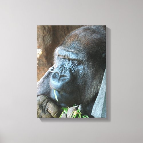 Ape hood  Japanese Gorilla Eating Canvas Print