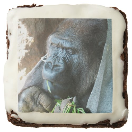 Ape hood  Japanese Gorilla Eating Chocolate Brownie