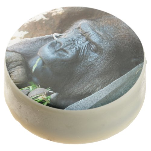 Ape hood  Japanese Gorilla Eating Chocolate Dipped Oreo