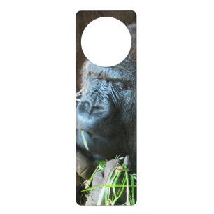 Ape hood ~ Japanese Gorilla Eating Door Hanger