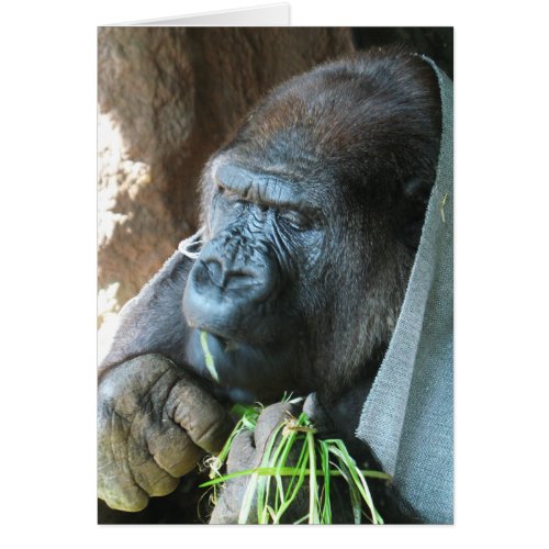 Ape hood  Japanese Gorilla Eating Greeting Card