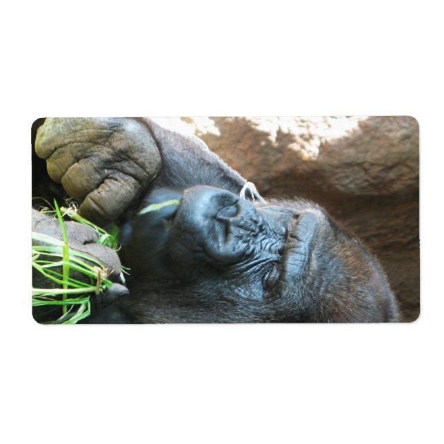 Ape hood ~ Japanese Gorilla Eating Label (Front)