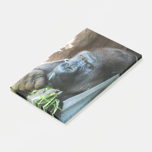 Ape hood  Japanese Gorilla Eating Post_it Notes