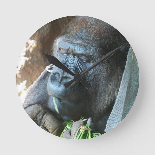 Ape hood ~ Japanese Gorilla Eating Round Clock (Front)