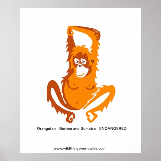 Ape - ORANGUTAN - Endangered animal  Poster (Front)