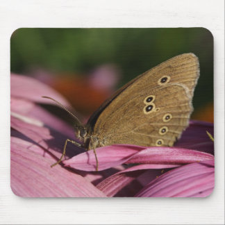 Aphantopus hyperantus mouse pad