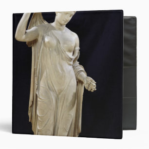 Aphrodite Genetrix, Roman copy 3 Ring Binder