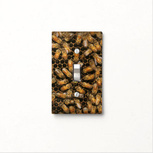 Apiary - Bee - A hail the queen Light Switch Cover