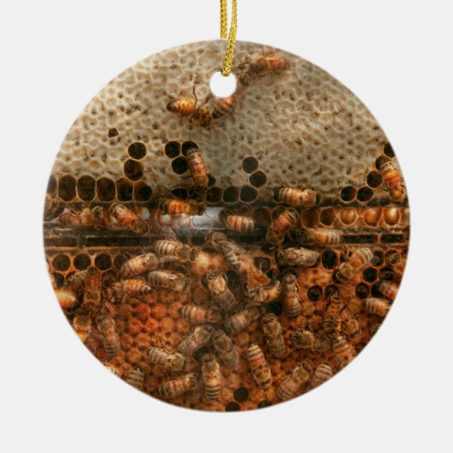 Apiary - Bee's - Sweet success Ceramic Ornament (Front)
